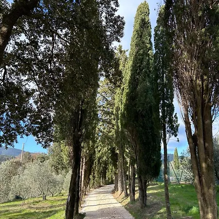 Domus Eleiva Relais Apartment *