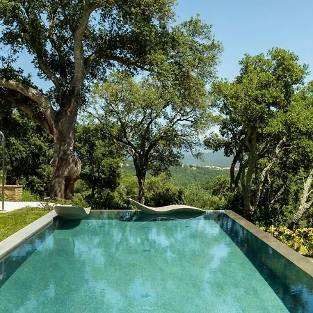 Domus Eleiva Relais Apartment *